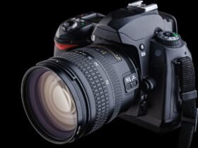 Top Rated DSLR Cameras of 2026